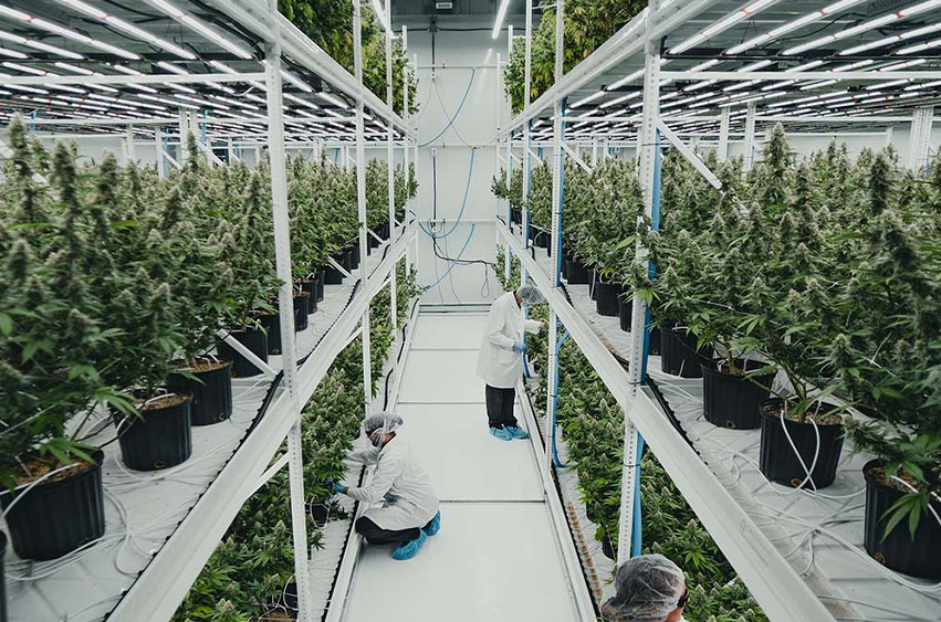 Agriculture & Vertical Farming warehouse storage facility